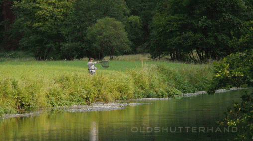 Fly fisherman at the Wiesent
