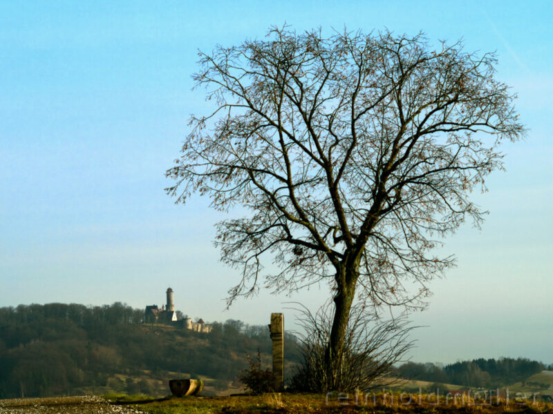 Altenburg mit Baum