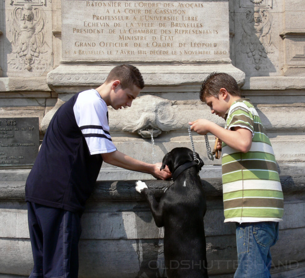 zwei Jungen helfen dem Hund beim Trinken