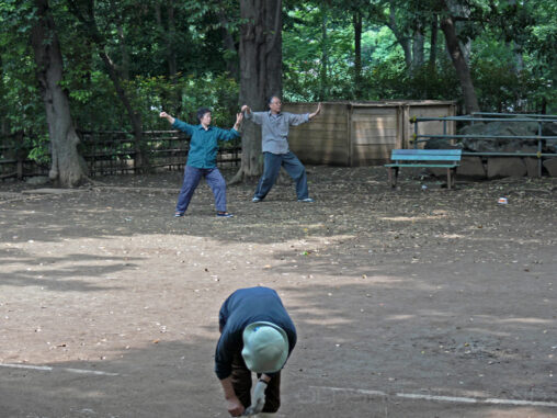 Tai chi