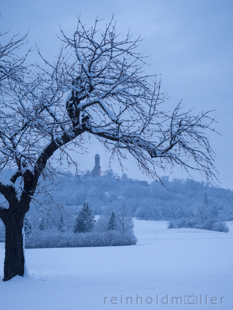 Winterlandschaft mit Altenburg