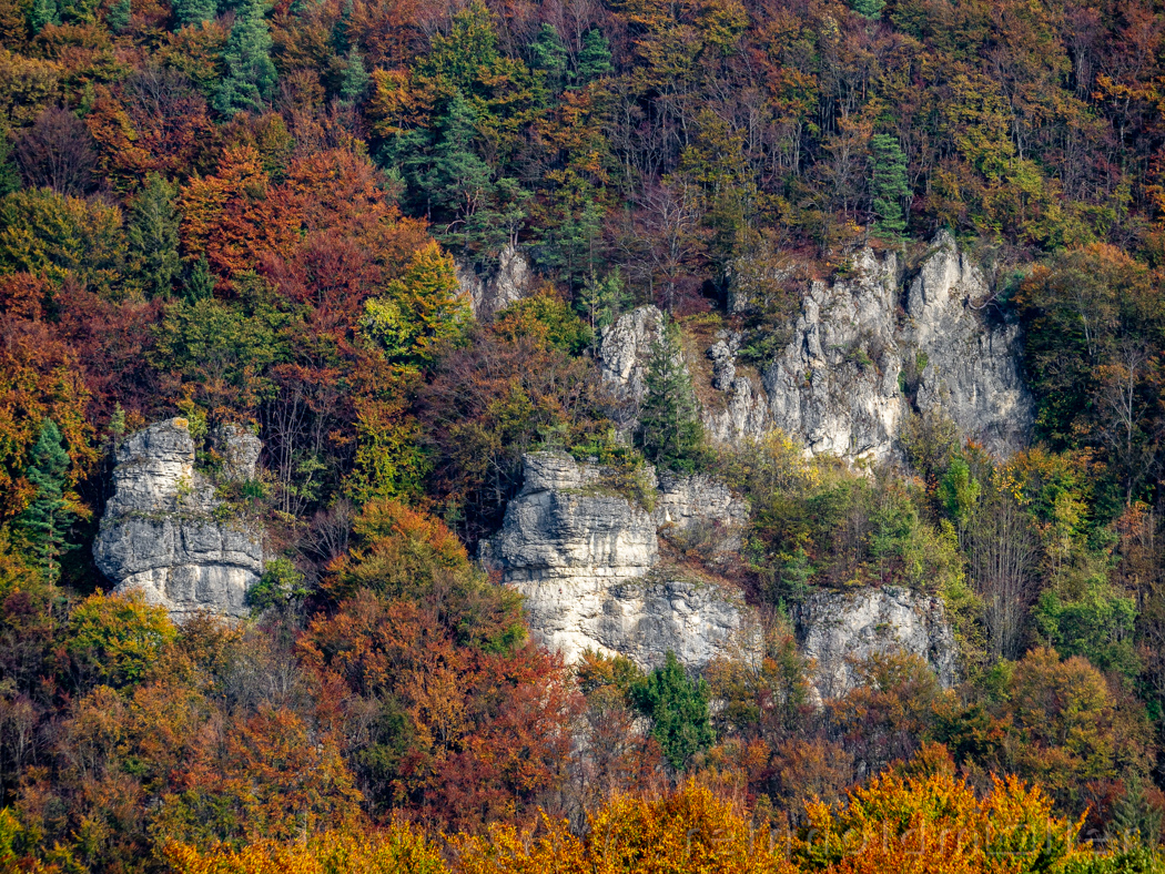 Muggendorfer Felsen mit Herbstlaub