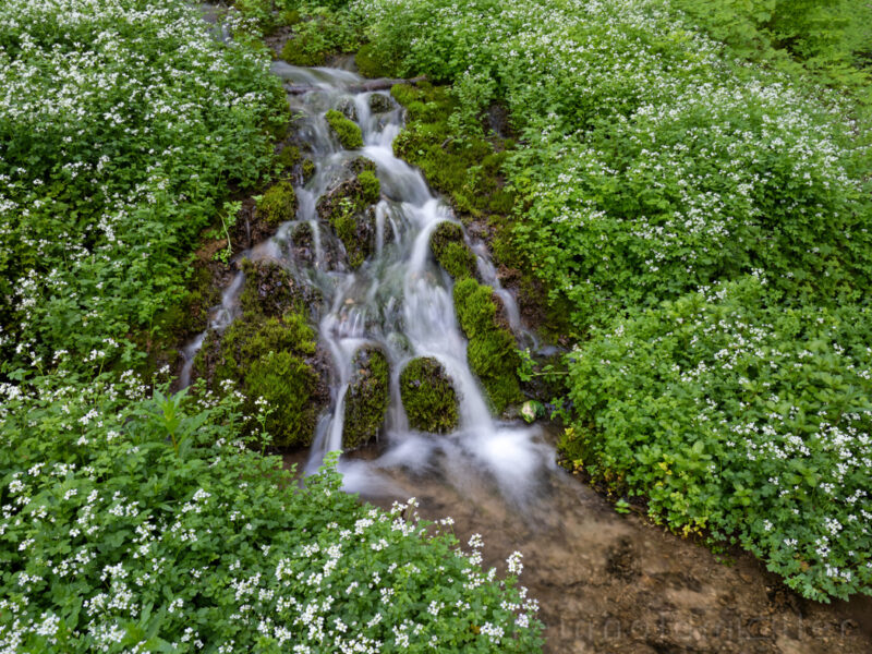 Ellernbach bei Tiefenellern in der Fränkischen Schweiz